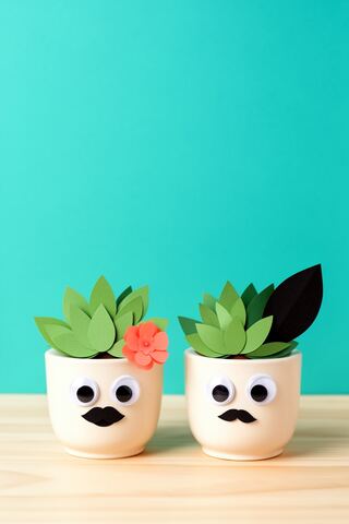 Crafty Planters