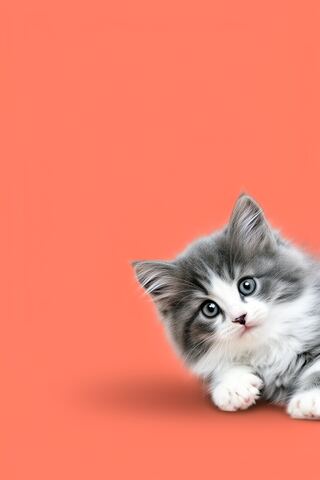 Head Tilt
