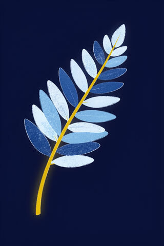 Midnight Fern