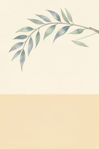 Willow Wrap